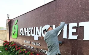 Kiểm tra bố cục chữ nổi sau khi thi công hoàn thiện