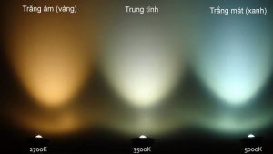 So sánh ánh sáng trắng ấm trung tính và trắng lạnh